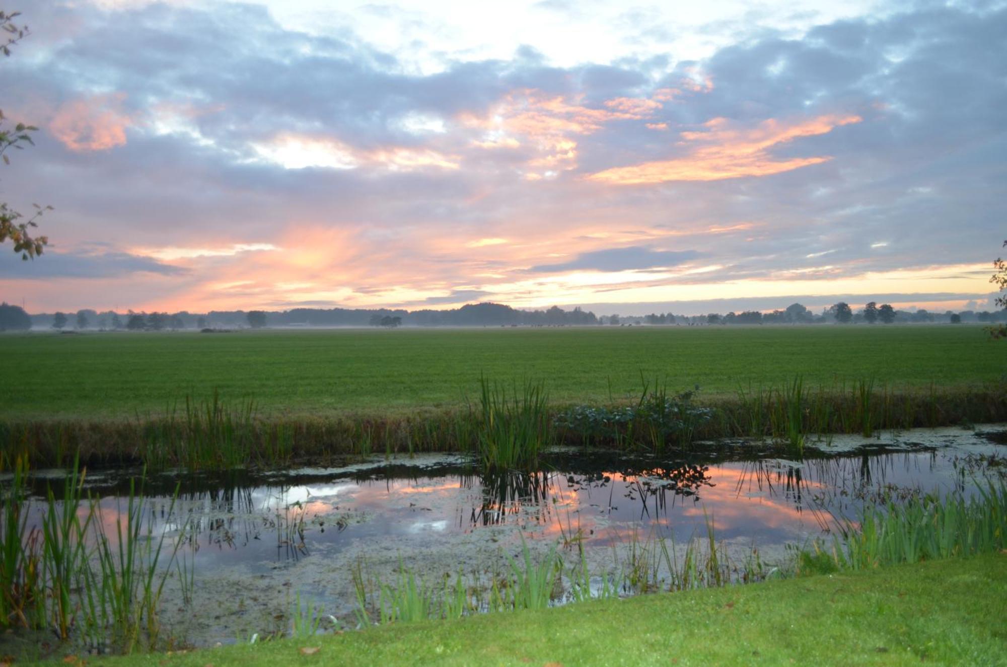 Prive In Een Bosrijke Omgeving Welkom Bij Gastenverblijf Het Ontsnapte Schaap In Jubbega Kültér fotó